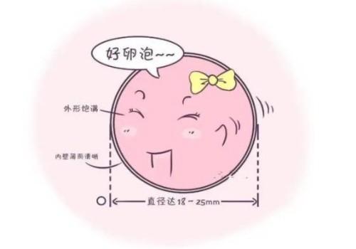 寧波試管助孕公司：2022試管嬰兒生二胎值得嗎，成功率高低還需根據身體說話